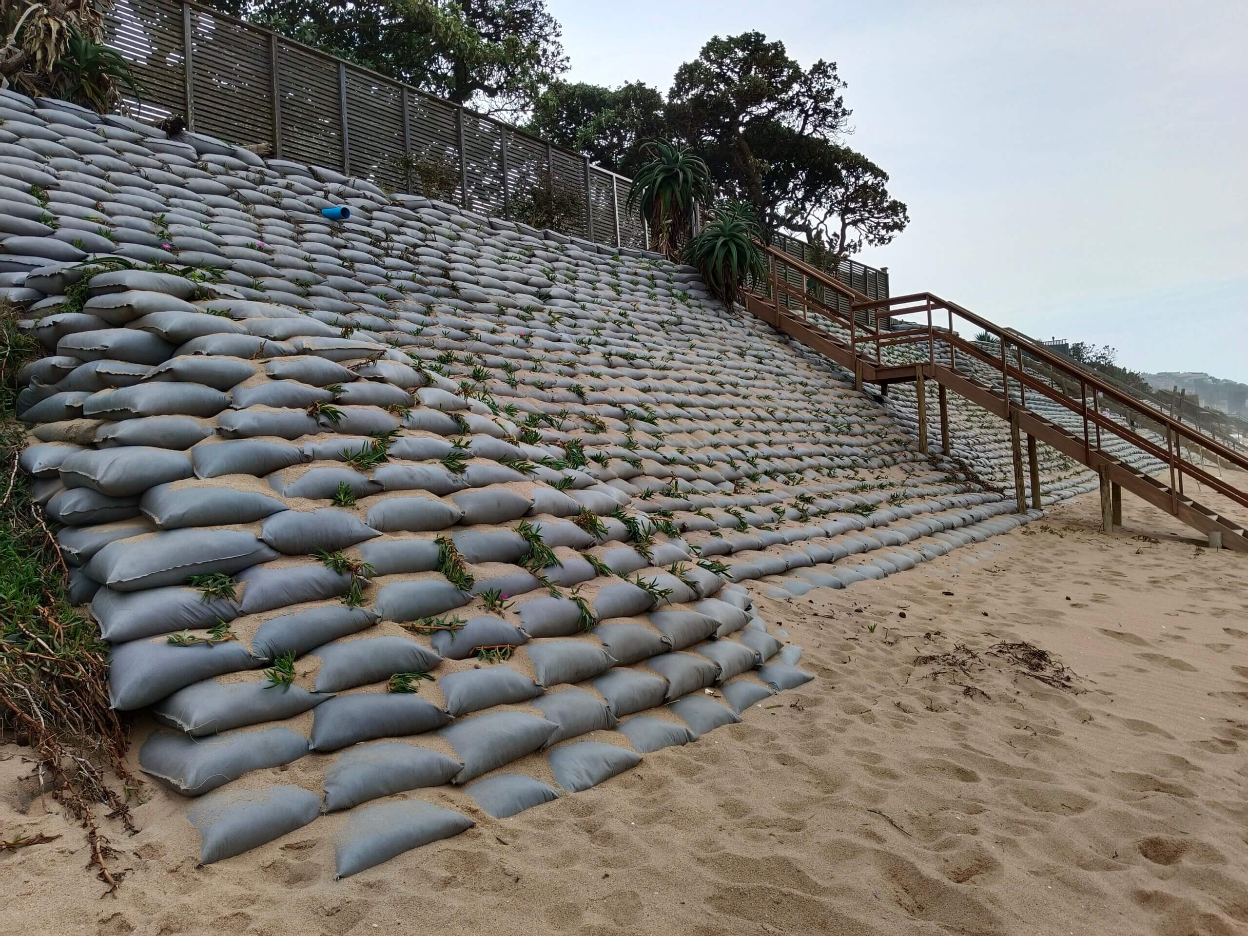 Coastal Dune Repair and Protection Works at Sheffield Beach
