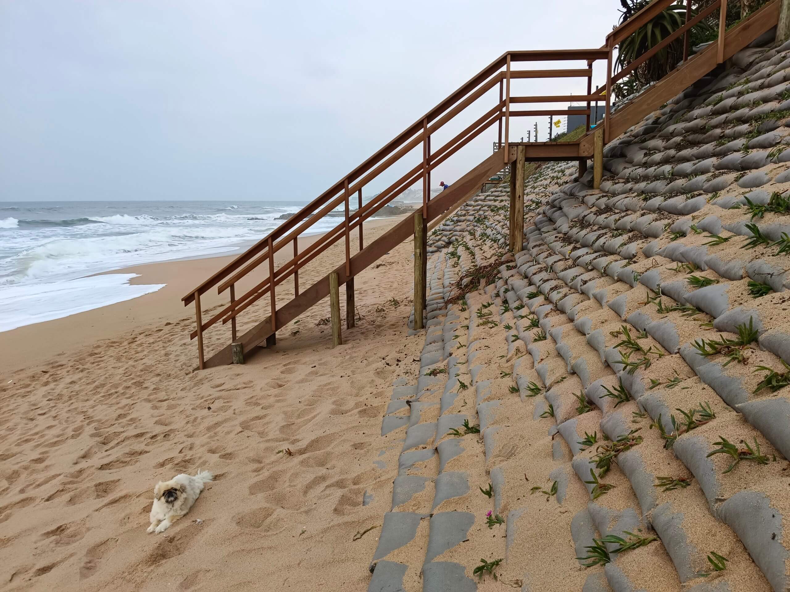 Coastal Dune Repair and Protection Works at Sheffield Beach
